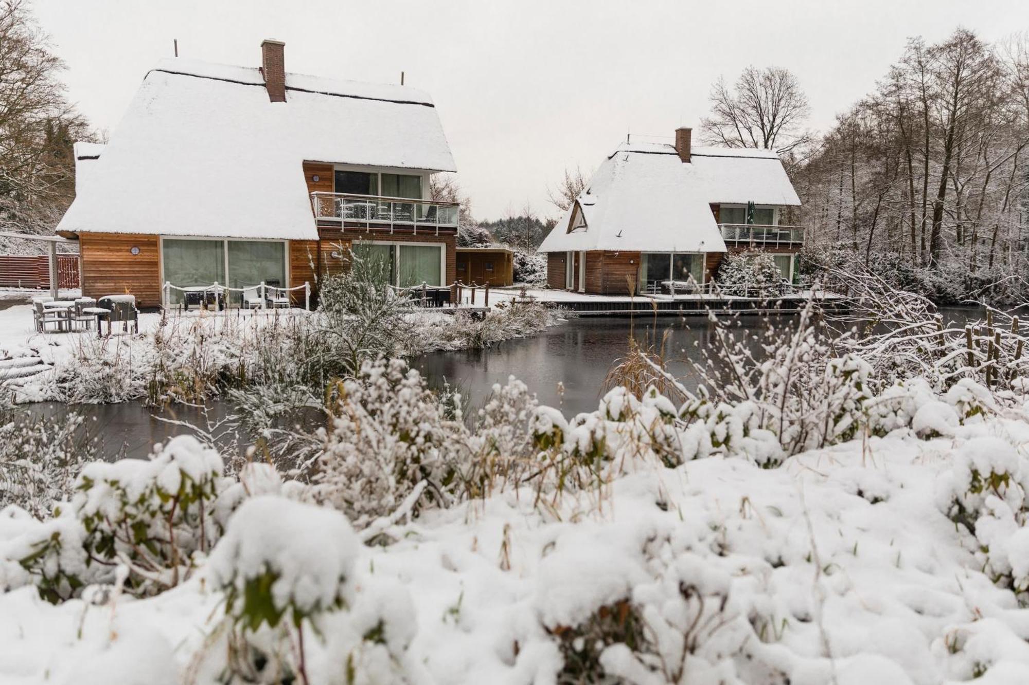 Residenz - Sonnenglut - Seeterrasse - Sauna - Parkplatz Bad Zwischenahn Eksteriør billede